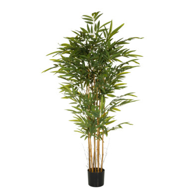 Produktabbildung - Einzelabbildung