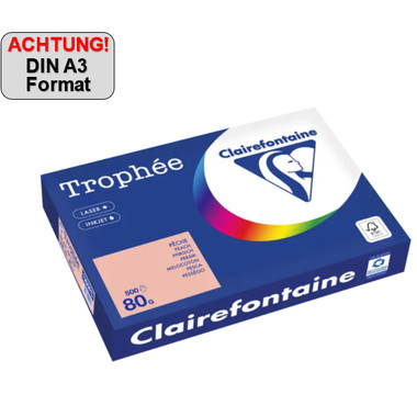 Produktabbildung - Einzelabbildung