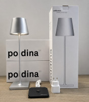 Zafferano Poldina Pro - FOGLIA ARGENTO / Silver leaf - LD0340BFA