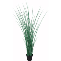 Produktabbildung - Einzelabbildung