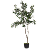 Produktabbildung - Einzelabbildung