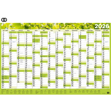 Produktabbildung - Einzelabbildung