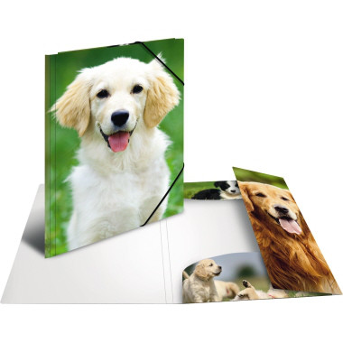 Produktabbildung - Einzelabbildung