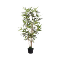 Produktabbildung - Einzelabbildung