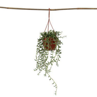 Produktabbildung - Einzelabb. / Anwendungsbsp.