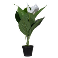 Produktabbildung - Einzelabbildung