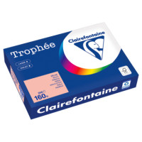 Produktabbildung - Einzelabbildung