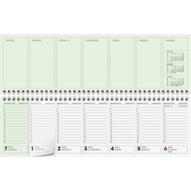 Produktabbildung - Einzelabbildung