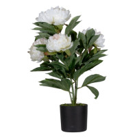 Produktabbildung - Einzelabbildung