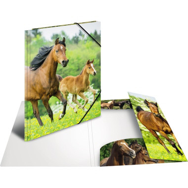 Produktabbildung - Einzelabbildung