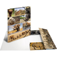 Produktabbildung - Einzelabbildung