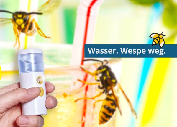 wasser-wespe-weg-wesperado-bueropiraten-beutezug
