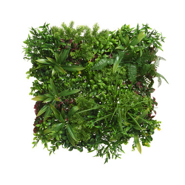 Produktabbildung - Einzelabbildung