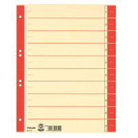 Produktabbildung - Einzelabbildung