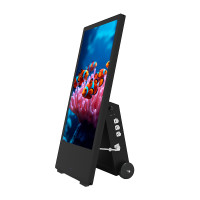 Outdoor Kundenstopper 43" Spezial mit Mediaplayer & CMS – Schwarz