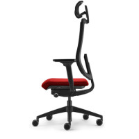 Produktabbildung - Einzelabbildung