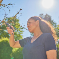 Produktabbildung - Anwendungsabbildung