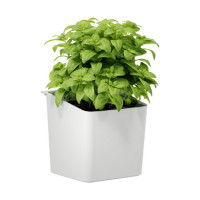 Produktabbildung - Anwendungsabb. ohne Deko