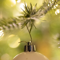 Produktabbildung - Anwendungsabb. ohne Deko