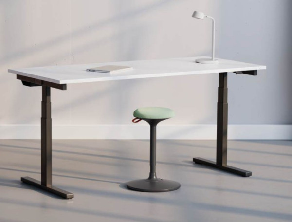 Reiss Avaro Basic 2.2 Motortisch, höhenverstellbar, 60 cm tief