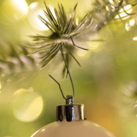 Produktabbildung - Anwendungsabb. ohne Deko