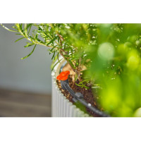 Produktabbildung - Anwendungsabb. ohne Deko