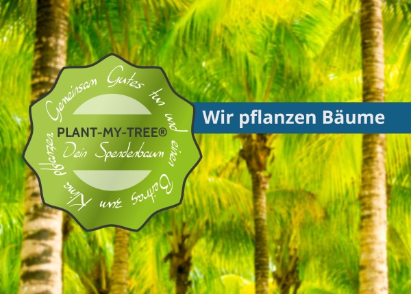 blog-bueropiraten-baum