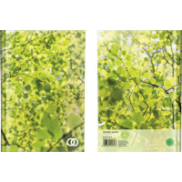 Produktabbildung - Einzelabbildung Produktabbildung - Einzelabbildung