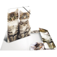 Produktabbildung - Einzelabbildung