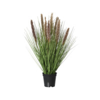 Produktabbildung - Einzelabbildung