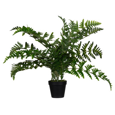 Produktabbildung - Einzelabbildung