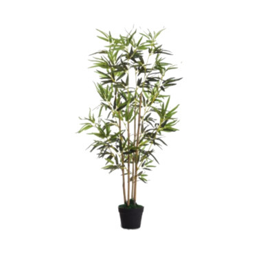 Produktabbildung - Einzelabbildung