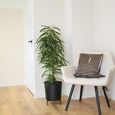 Produktabbildung - Anwendungsabb. ohne Deko