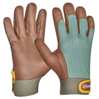 Produktabbildung - Einzelabbildung