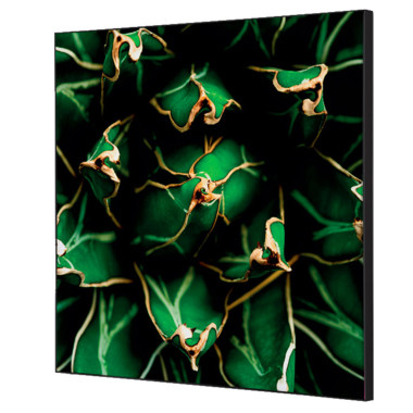 Produktabbildung - Einzelabbildung