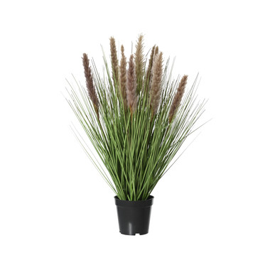 Produktabbildung - Einzelabbildung