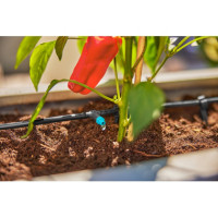 Produktabbildung - Anwendungsabb. ohne Deko Produktabbildung - Anwendungsabb. ohne Deko