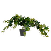 Produktabbildung - Einzelabbildung