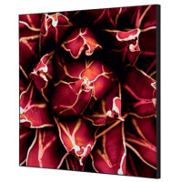 Produktabbildung - Einzelabbildung