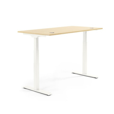 Produktabbildung - Einzelabbildung