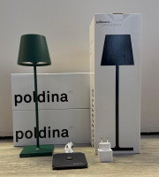 Zafferano Poldina Pro - FOGLIA ARGENTO / Silver leaf - LD0340BFA