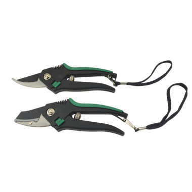 Produktabbildung - Einzelabbildung