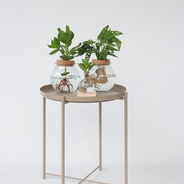 Produktabbildung - Anwendungsabb. ohne Deko