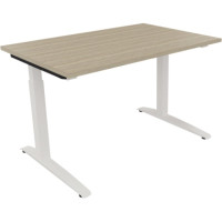 Produktabbildung - Einzelabbildung