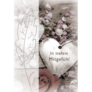 Produktabbildung - Einzelabbildung