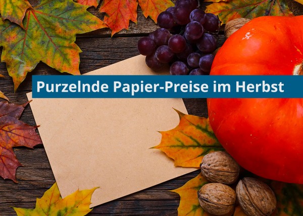 blog-reisen-papier