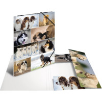 Produktabbildung - Einzelabbildung