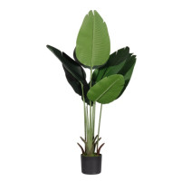 Produktabbildung - Einzelabbildung