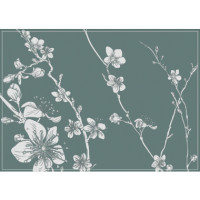 Produktabbildung - Einzelabbildung