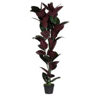 Produktabbildung - Einzelabbildung